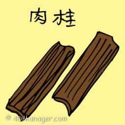 肉桂 肉桂 cinnamon