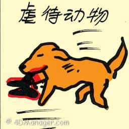 虐待动物 animal abuse