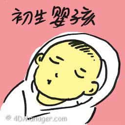 初生婴孩 初生婴孩 newborn baby