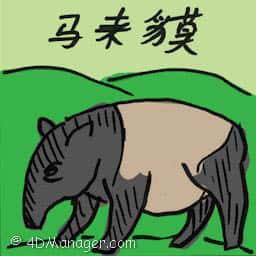 马来貘 马来貘 malayan tapir