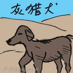 灰猎犬 灰猎犬 greyhound