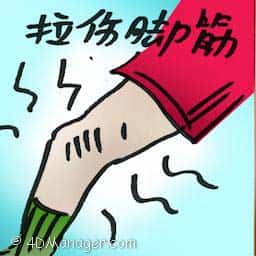 拉伤脚筋 拉伤脚筋 hamstring injured