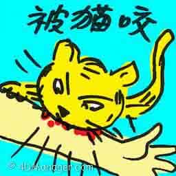 被猫咬 cat bites