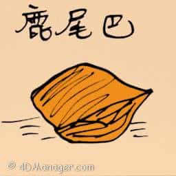 鹿尾巴 deer tail extract