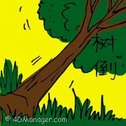 树倒 fallen tree