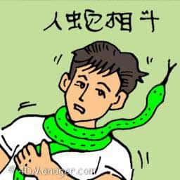 人蛇相斗 fighting with snake