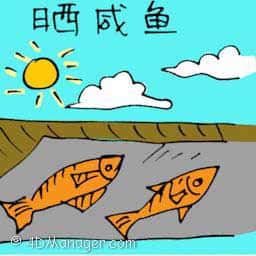 晒咸鱼 drying salted fish