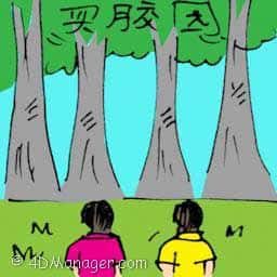 买胶园 buying rubber estate