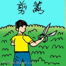 剪篱 cutting fence
