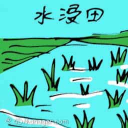 水浸田 fields flooded