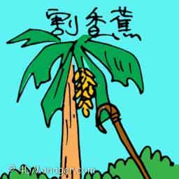 割香蕉 割香蕉 cutting banana