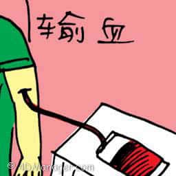 输血 donating blood