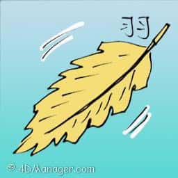 羽 feather