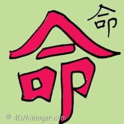 命 life