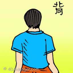 背 back of the body