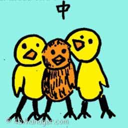 中 middle