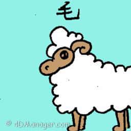 毛 wool