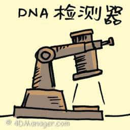 DNA检测器 dna detector