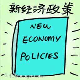 新经济政策 new economy policies