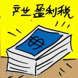 产业盈利税 property gain tax