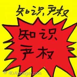 知识产权 intellectual property rights