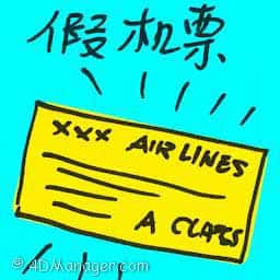 假机票 fake air ticket