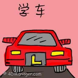 学车 learn to drive