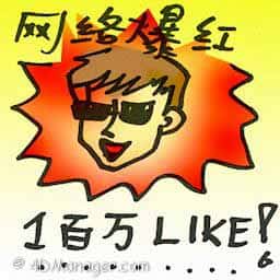网络爆红 internet sensation