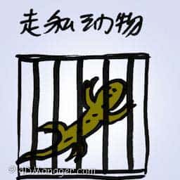 走私动物 animal smuggling