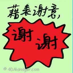 藉表谢意 token of gratitude