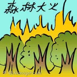 森林大火 forest fires
