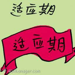 适应期 adaptation period